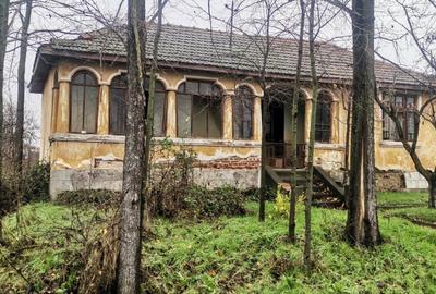 Casă cu 3 camere în Stolnici - 6