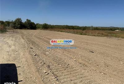 Teren de 2960 mp, în Lipănești - 2