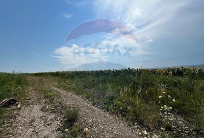 Teren agricol extravilan de 3500 mp, în Ilișești - 9