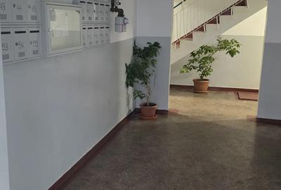 Apartament cu 3 camere semidecomandat în Micro 17 - 9