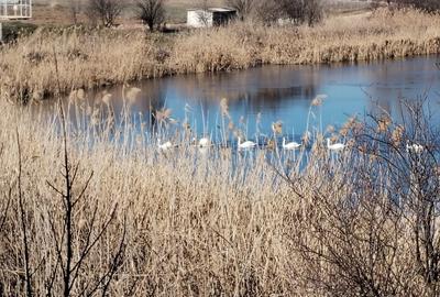 Teren intravilan 609 mp Vidra, deschidere 24 m, ideal pentru constructie - 5