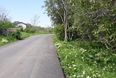 Teren de 629 mp, în Clinceni - 3