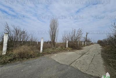Teren de 28000 mp, în Hârșova - 5