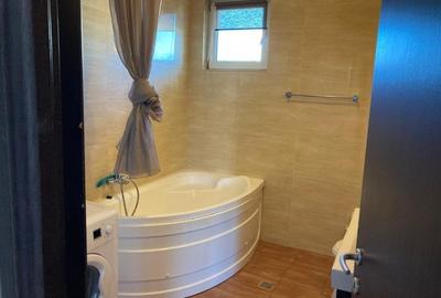 Inchiriere Apartament spatios Trocadero Inchiriere Apartament spatios Trocadero - 8