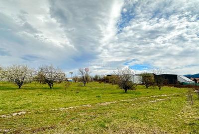 Teren Construcții intravilan de 1160 mp, în Astra - 5