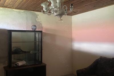 Casă cu Teren 2250 Mp în Brăniștari - 4