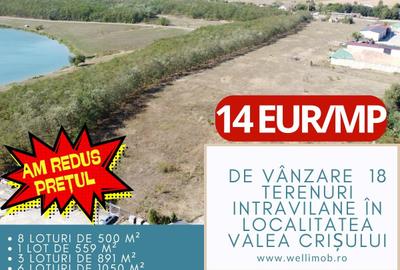 Teren Construcții intravilan de 1050 mp, în Valea Crișului