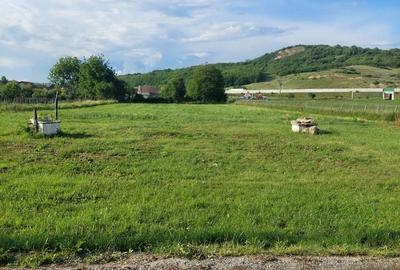 Spațiu comercial, în Miercurea Sibiului - 4