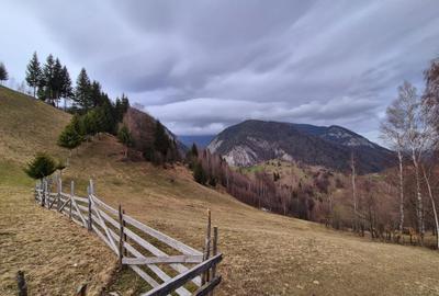 Teren investitie Pestera/ 13570mp extravilan/Comision 0 % - 11