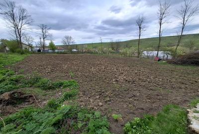 Casă cu 2 camere în Mateieni - 7