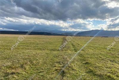 Parcela teren extravilan de 486 mp situat in Cristian - 12