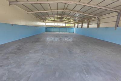 Hala noua depozitare/productie/logistica, zona Prejmer, 1200mp - 7