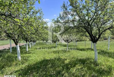 Casă cu 1 camere cu Teren 3000 Mp în Copăcel - 1