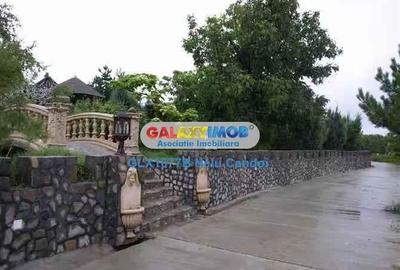 VANZARE 10.000 MP LOCALITATEA ILEANA 49 KM BUCURESTI - 9