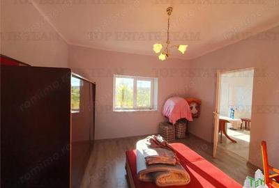 Casa renovata extinsa si teren 5470 mp Pantelimon Jud Constanta - 12