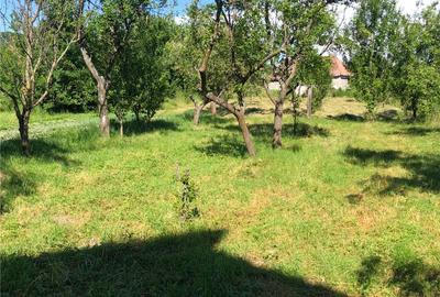 Casă cu 3 camere în Ciceu-Corabia - 1