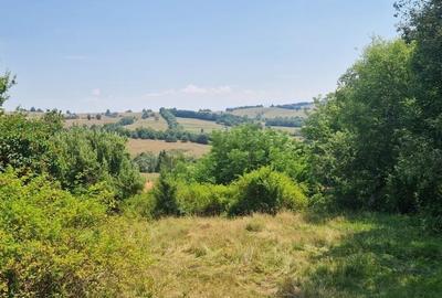 Teren intravilan 4.568 mp, 2 fronturi – Brebu Nou, Caraș-Severin - 2