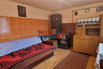 Casa 3 camere de vanzare in Drambar cu 1564 mp teren - 2