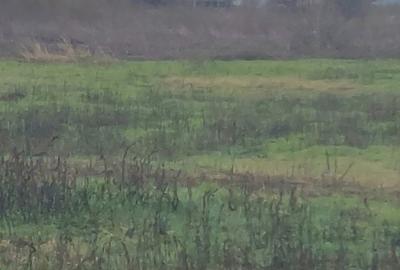 Teren de 3566 mp, în Centura