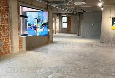 Spațiu comercial, de 697.45001220703 mp, în Floreasca - 10