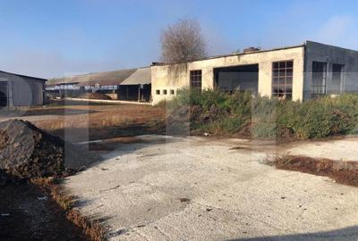 Ferma de vanzare in jud. Covasna, suprafata teren 4824 mp - 4