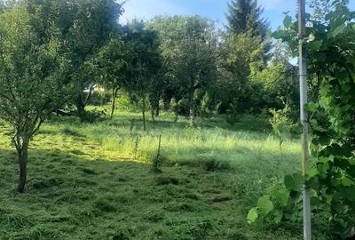 Casă cu 2 camere în Frunzeni - 7