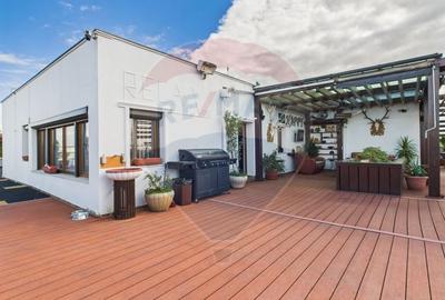 PENTHOUSE spectaculos cu terasa 300 mp - 2