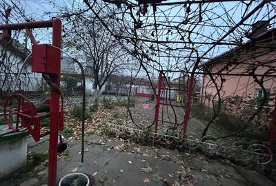 Casa plan parter, 63 mp utili, 366 mp utili, Bariera Valcii - 10