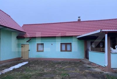 Casa si hala de vanzare, in Horodnic de Sus - 23