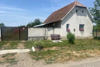 Vand casa la tara - 4