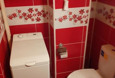 Garsonieră decomandată în Lăpuș - 4