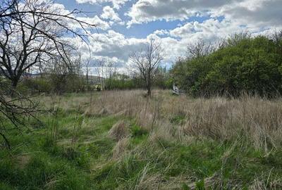 Casă cu 3 camere cu Teren 3863 Mp în Batiz - 2