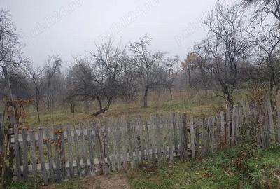 Teren intravilan 3097 mp in Corbi jud Arges - 2