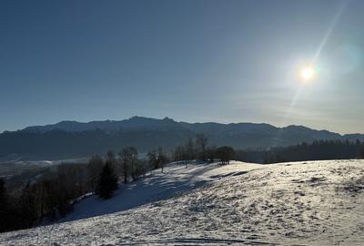 Teren Construcții extravilan de 1550 mp, în Moieciu - 3