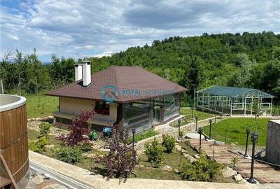 Royal Imobiliare -vanzare vila/ casa de vacanta zona CAMPINA - 14
