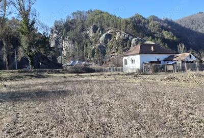 Teren de 2800 mp, în Călinești - 7