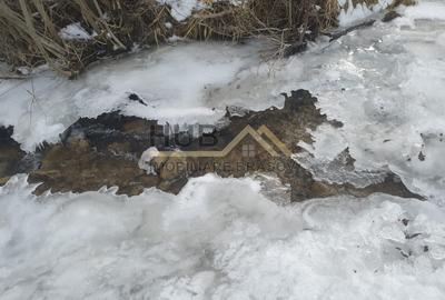 Teren agricol extravilan de 10035 mp, în Cheile Râșnoavei - 7