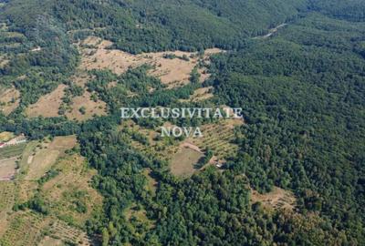 Oaza de natura si oportunitate in Baiculesti  Valea lui Enache, Arges - 9