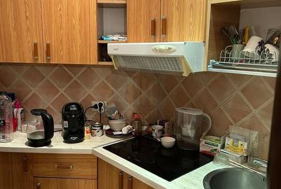 Apartament cu 2 camere decomandat, mobilat în Dacia - 13