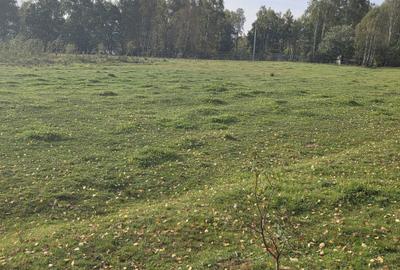 Teren de 4806 mp, în Dealu Negru - 5