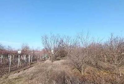 Casă cu 2 camere în Brăniștari - 2