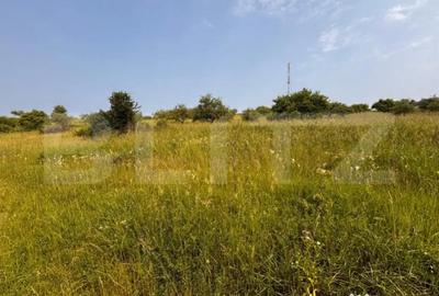 Teren de 900 mp, în Central - 6