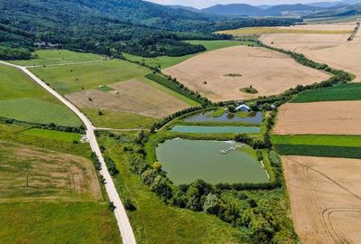 Teren agricol intravilan de 31500 mp, în Negrești (Bâra) - 1