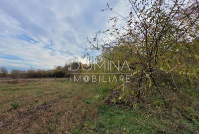 Teren intravilan, 4967 mp, utilita?i, sat Rasova, Bale? - 18