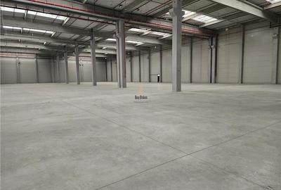 Spatiu Industrial - 1800 mp - Productie - Depozitare - Distributie - 2