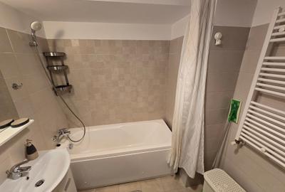 Inchiriere Apartament 2 Camere Pacii Rotar Park - 9