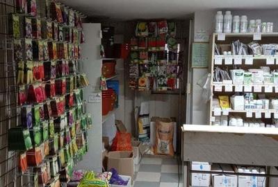 Spațiu comercial, de 40 mp, în Sighișoara - 2