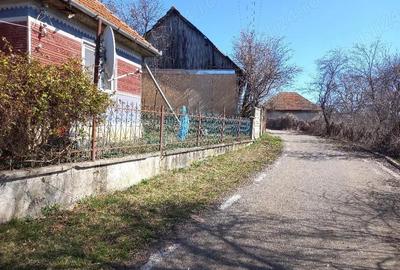 Casă cu Teren 6996 Mp în Cerișor - 3