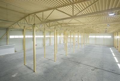 Spațiu industrial, de 420 mp, în Sud - 1