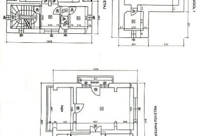 Apartament in vila cu arhitectura neoromaneasca + 917mp teren in curte amenajata - 14